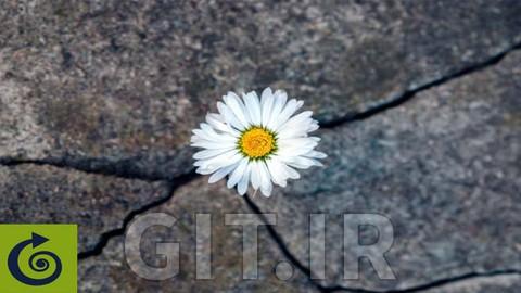 تاب آوری کسب و کار