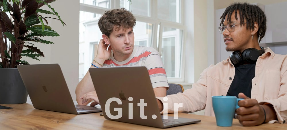 توسعه‌دهنده نرم‌افزار در مقابل مهندس نرم‌افزار