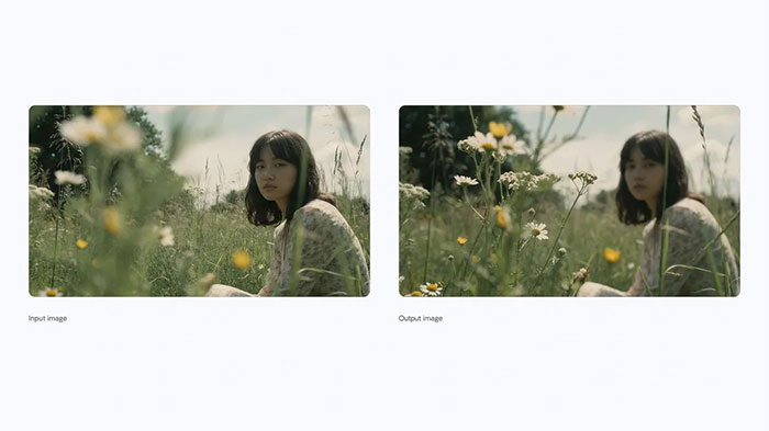 ویرایش موضعی و تغییر فوکوس در نانو بنانا