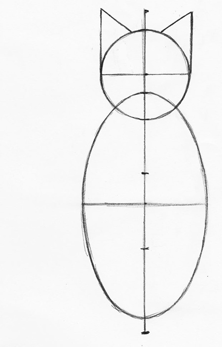 طراحی گربه مرحله 4